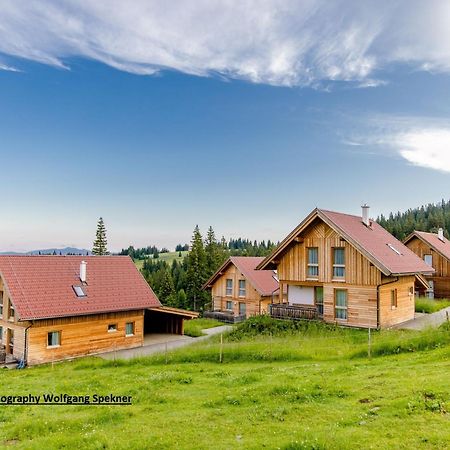 Beautiful Holiday Home In Weinebene With Sauna Posch Alpe Extérieur photo