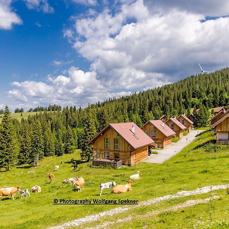 Beautiful Holiday Home In Weinebene With Sauna Posch Alpe Extérieur photo