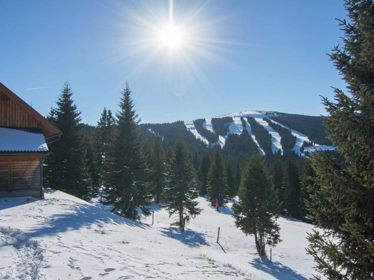 Beautiful Holiday Home In Weinebene With Sauna Posch Alpe Extérieur photo