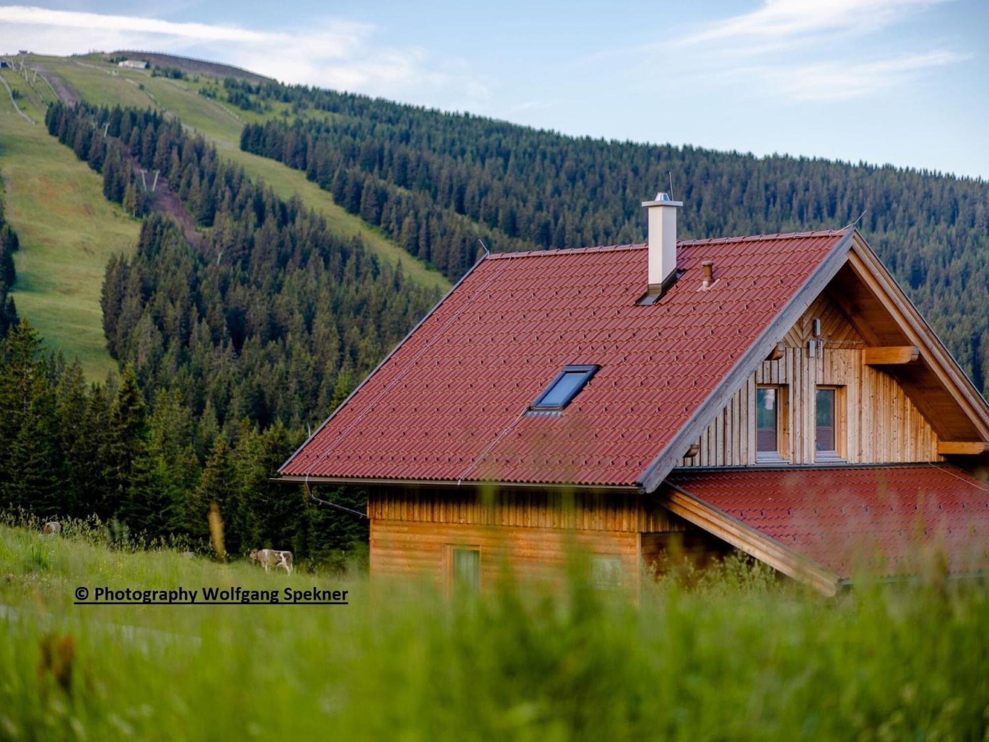 Beautiful Holiday Home In Weinebene With Sauna Posch Alpe Extérieur photo