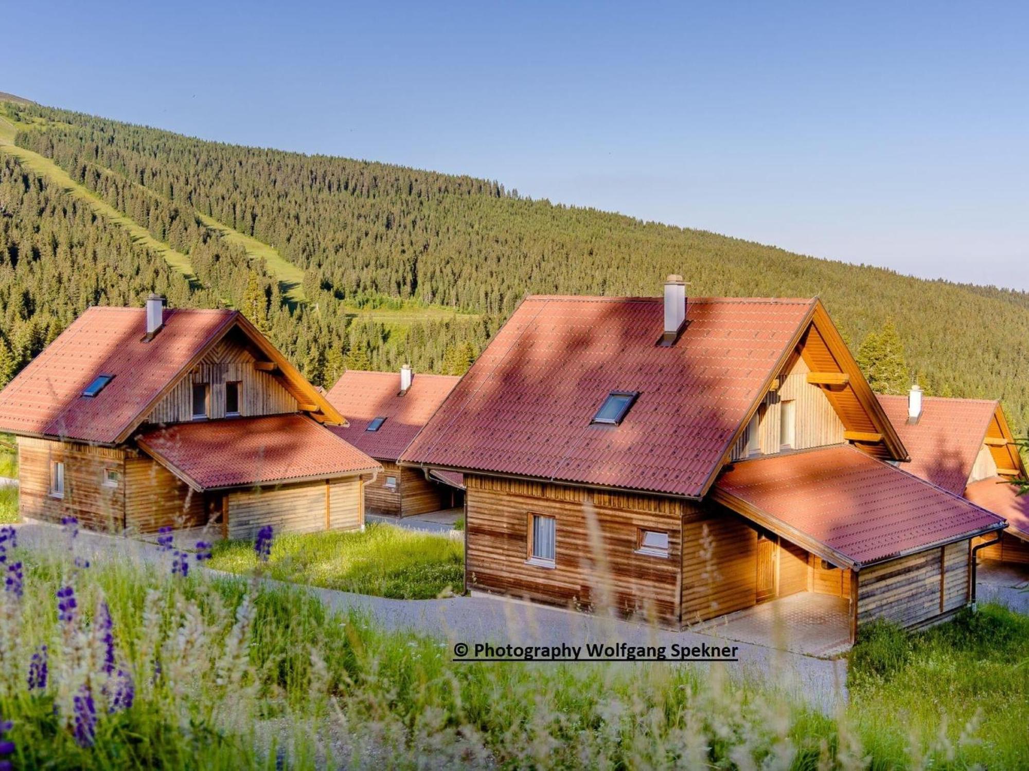 Beautiful Holiday Home In Weinebene With Sauna Posch Alpe Extérieur photo