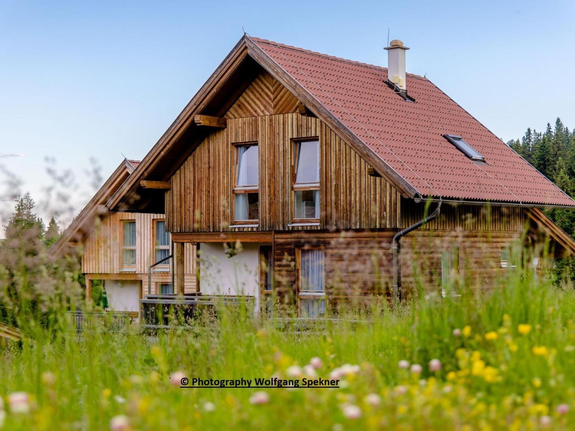 Beautiful Holiday Home In Weinebene With Sauna Posch Alpe Extérieur photo