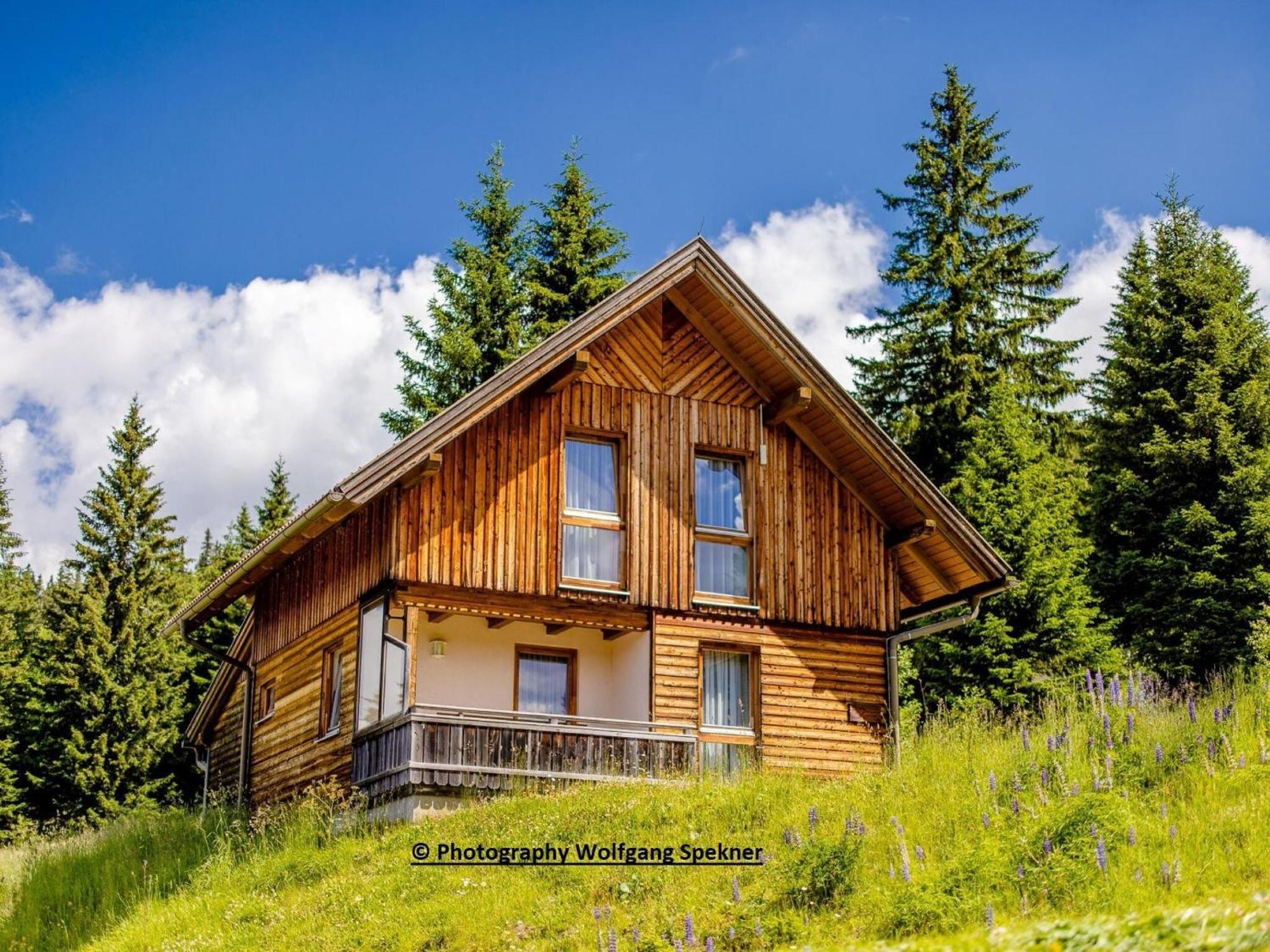 Beautiful Holiday Home In Weinebene With Sauna Posch Alpe Extérieur photo
