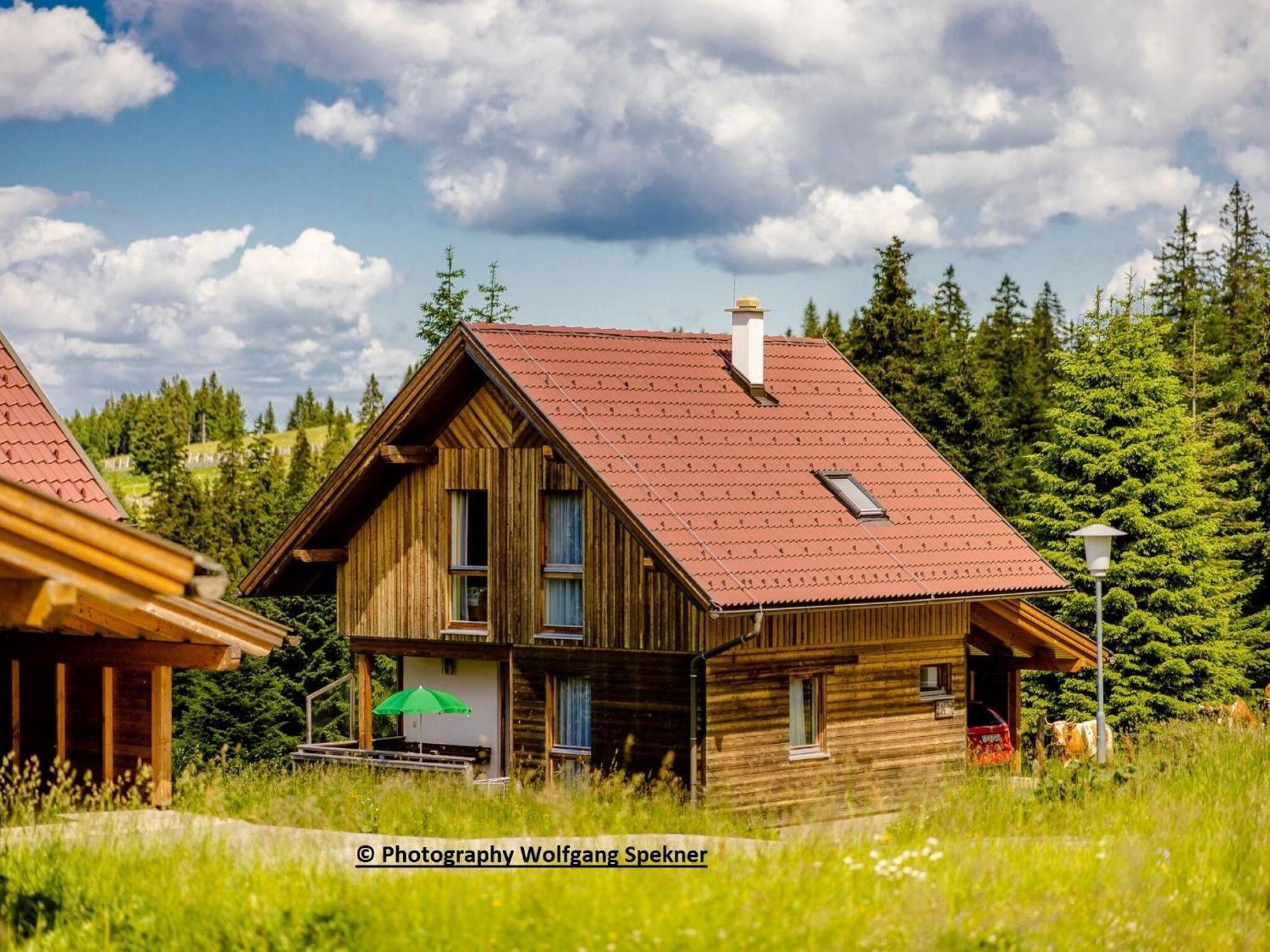 Beautiful Holiday Home In Weinebene With Sauna Posch Alpe Extérieur photo