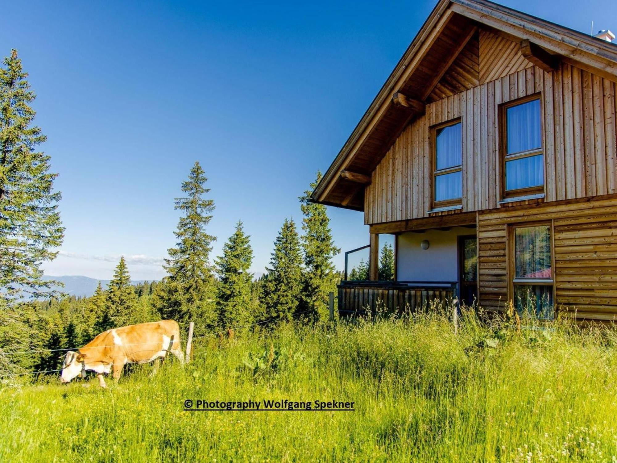 Beautiful Holiday Home In Weinebene With Sauna Posch Alpe Extérieur photo