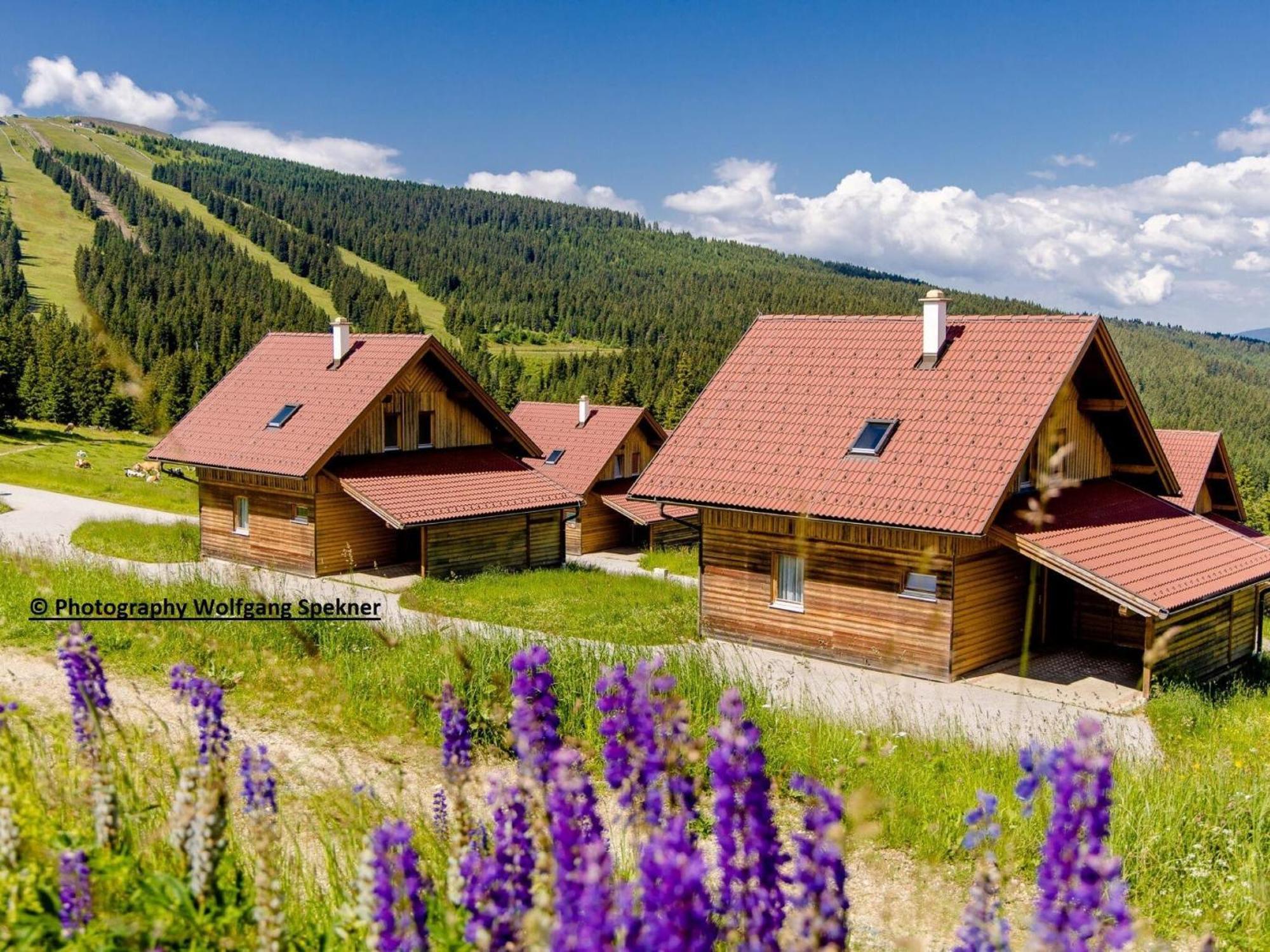 Beautiful Holiday Home In Weinebene With Sauna Posch Alpe Extérieur photo