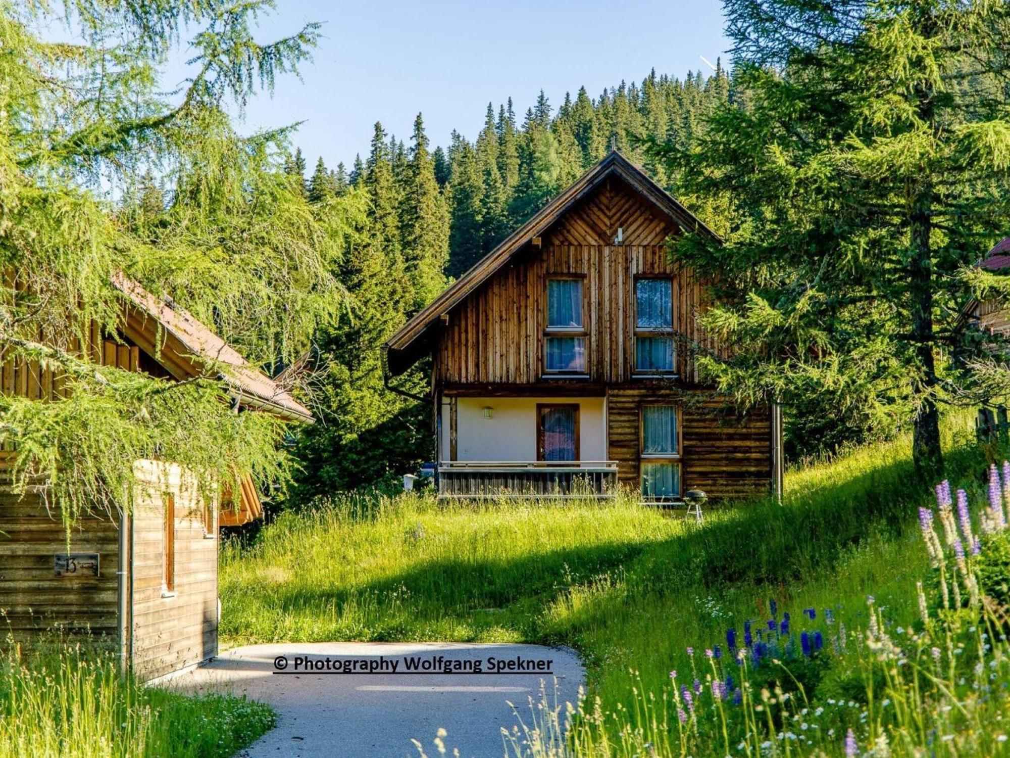 Beautiful Holiday Home In Weinebene With Sauna Posch Alpe Extérieur photo